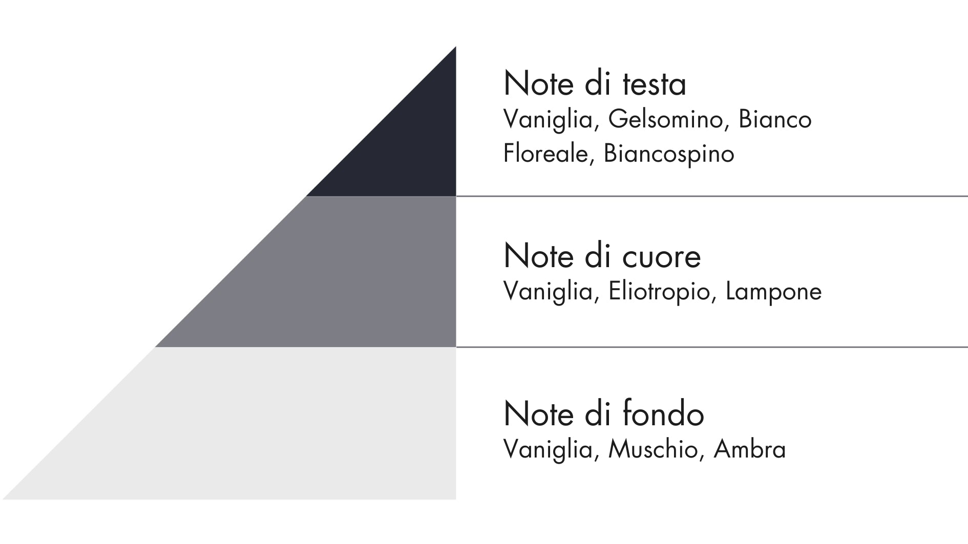 Detergente per ROBOT LAVAPAVIMENTI MULTISUPERFICIE - Vaniglia, Lampone, Ambra